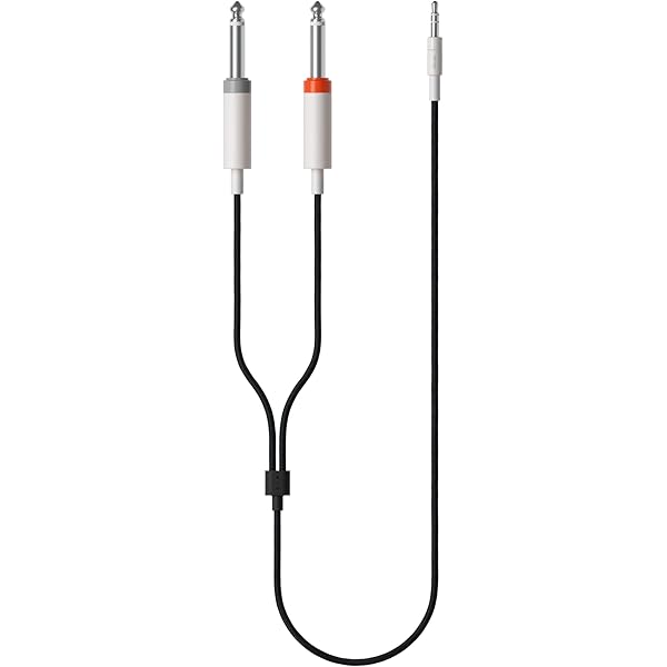 Amazon.co.jp: Teenage Engineeringフィールド大型ナイロンバッグ